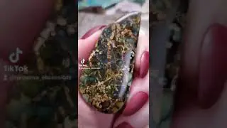 Seven Dwarfs Gem Turquoise Variscite