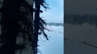 Где-то на северном Урале #nature #winter #mountains #природа #forest #woods #горы