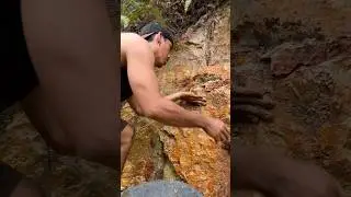 oh my God, what a rare and amazing discovery #viralshort #goldrush