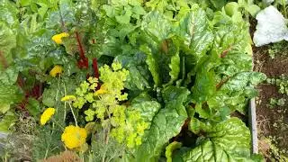 A Digwell Greenfingers Production