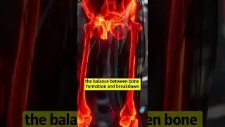Kale supports strong and healthy bones #BoneHealth #Superfood #Medical