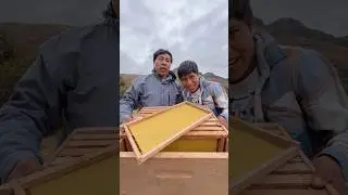 Adecu&eacute; una colmena para una familia de abejas bien salvajes! 🐝 #abejas #abejasnativas #miel #selva
