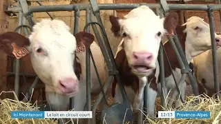 A Sigoyer, dans les Hautes Alpes à la rencontre de producteurs de lait.