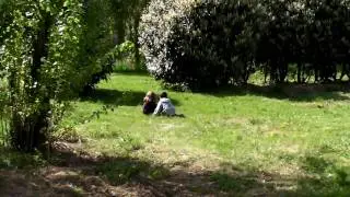 Park life 