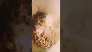 How prepare my fried cassava flakes will shock you 😱 #fypシ #food #cooking #cassava #goviral #recipe