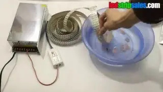 Quad Row Nano Waterproof IP68 RGB Color Change with Single Color Flexible LED Tape Lights 2400LEDs