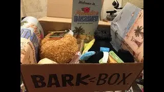 BarkBox Unboxing & Review - February 2018 for Medium Dogs