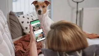 Pet Connect Business - Dog Trainer Apps