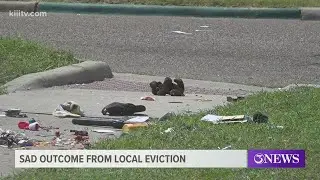 Eviction results in displacement of three cats, one dog dead