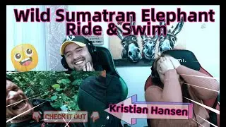 🇮🇩 Kristian Hansen - Wild Sumatran Elephant Ride & Swim!! 🇮🇩 Pall Family Reaction!!
