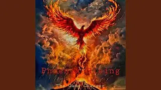 Phoenix Rising