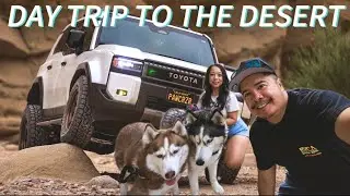 Day Trip to Anza Borrego State Park