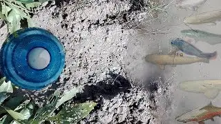 Awesome! Deep Hole With Plastic Bottle Fish Trap-Boy Dig Deep Hole  Fish Trap Using Plastic Bottle