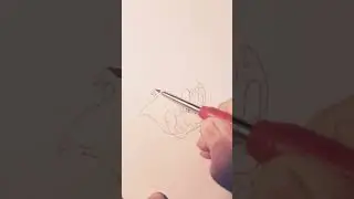tom cat drawing