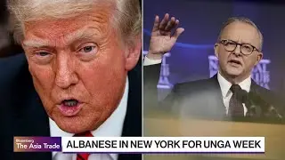 Trump to Snub Australia's Albanese at UN General Assembly