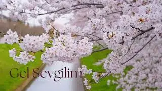 Gel Sevgilim – TheCropyx | Türkçe Hareketli Aşk Şarkısı (Official Audio)