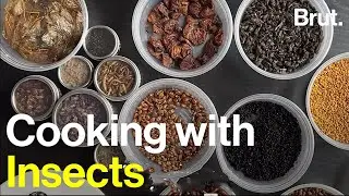 Meet the Chef Leading the Edible Insects Movement