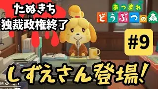 【島解放中】失礼しました。あつ森と出てしまいました。#9（ゲーム実況/あつまれ どうぶつの森）