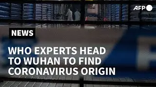 WHO experts head to Wuhan to find coronavirus origins | AFP