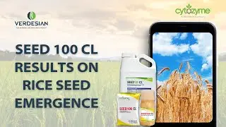 Seed 100 CL Results on Rice Seed Emergence | Time Lapse | Verdesian Life Sciences