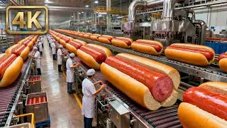 Modern Hot Dog Factory Revealed: Watch Millions Get Made in Minutes