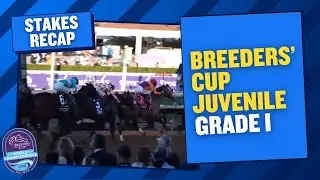 Recap: TED NOFFEY Stays Undefeated in Breeders' Cup Juvenile (G1)