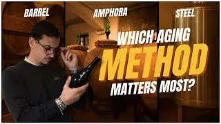 Oak, Amphora or Stainless Steel? How Wine Aging Changes Taste & Aroma