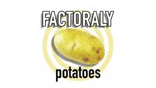 FACTORALY E9 POTATOES