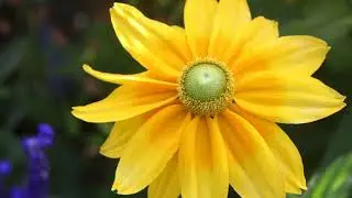 Relaxing Music | Cinematic Music | No copy right music | Relax lab