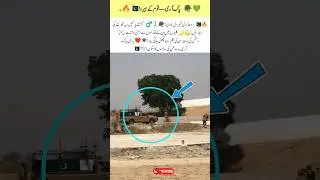 Young Guardians Pakistan Army Our Peacekeepers 🇵🇰🕊️#Peace #Courage #PakistanArmy #Heroes #Unity
