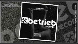 Tropar Flot Morgengrauen In Den Keller PROMO Betrieb Records