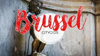 Brussel bezoeken? Reisgids met wandeling Brussel + citygids