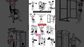 Complete Shoulder Workout Library (12 Essential Moves)