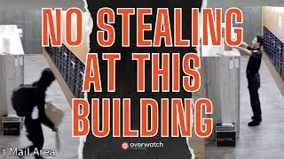 He Grabbed Every Box in Sight&hellip; Proactive Video Security Shut It Down