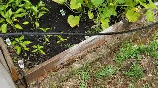 Шланг Element SoakerPro Landscape отлично подходит для сада и других работ своими руками