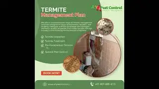 Termite Management Plan with A1 Pest Control Canberra #pestcontrolcanberra