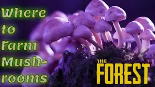 THE FOREST Fun Guy |Where to Farm Mushrooms|