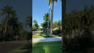 Downtown Naples, Florida