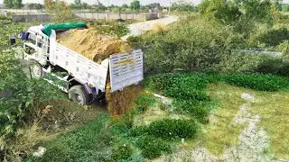 First Started New Project!5TDump Truck Pouring Soil,With Skillful Dozer D21P Pushing Soil,Clear Wild