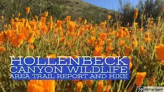 Hollenbeck Canyon Wildlife Area Trail Report and Hike