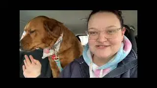 Miniature Zoo Ep3 'Welcome Home Sage' - haleylynn1615