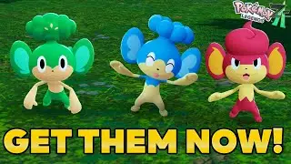 How to Catch Panpour Pansear & Panpour - Pokemon Legends Z-A