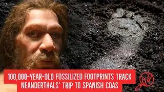 100,000-Year-Old Fossilized Footprints Track Neanderthals&rsquo; Trip to Spanish Coast