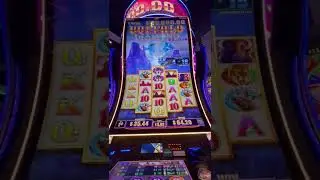 Unleash the Power of Buffalo Diamond & Money Link Slots! 🐃💎💰