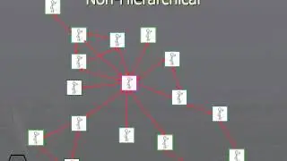 393 Non Hierarchical