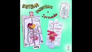 Sistema digest&oacute;rio ( Processos digestivos)