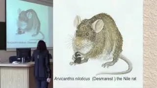 Fleas, rats and other stories - The palaeoecology of the Black Death