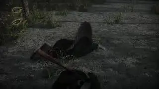 Pro Turkey Hunting