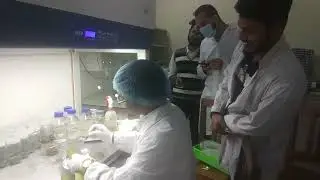 Date Palm Tissue Culture from Inflorescence ( ফুল থেকে খেজুরের টিস্যু-কালচার )