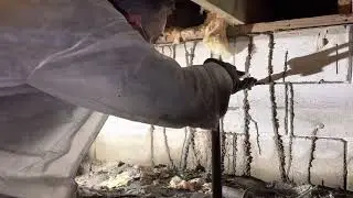 Termites in crawl space.